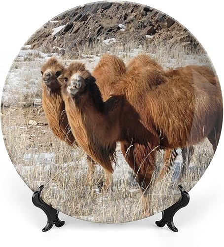 Plato decorativo para colgar en la pared, plato de cerámica del desierto de invierno de camellos, platos divertidos para cena, plato decorativo de