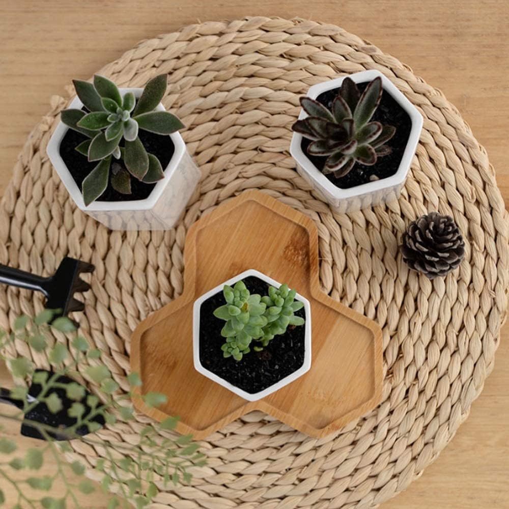 Mała ceramiczna doniczka na sukulenty bonsai urocza biała ceramiczna doniczka w kształcie cylindra z bambusową tacą geometryczne kształty doniczka stół sukulenty doniczka zielona doniczka dekoracja domu (kolor: Wit)