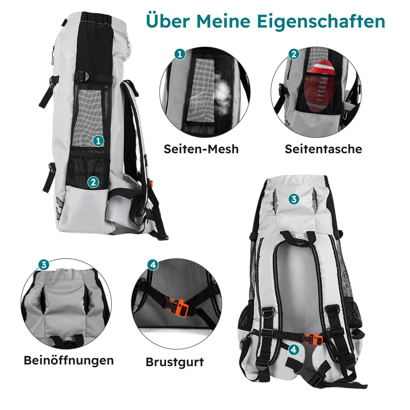 PETCUTE Hundetransportrucksack,Atmungsaktiver Haustier-Rucksack mit Sicherheitsverschluss & Reflektorstreifen, Beine Raus Hunderucksack für kleine Hunde & Katzen,Verstärkter Boden,ideal für Wandern,L