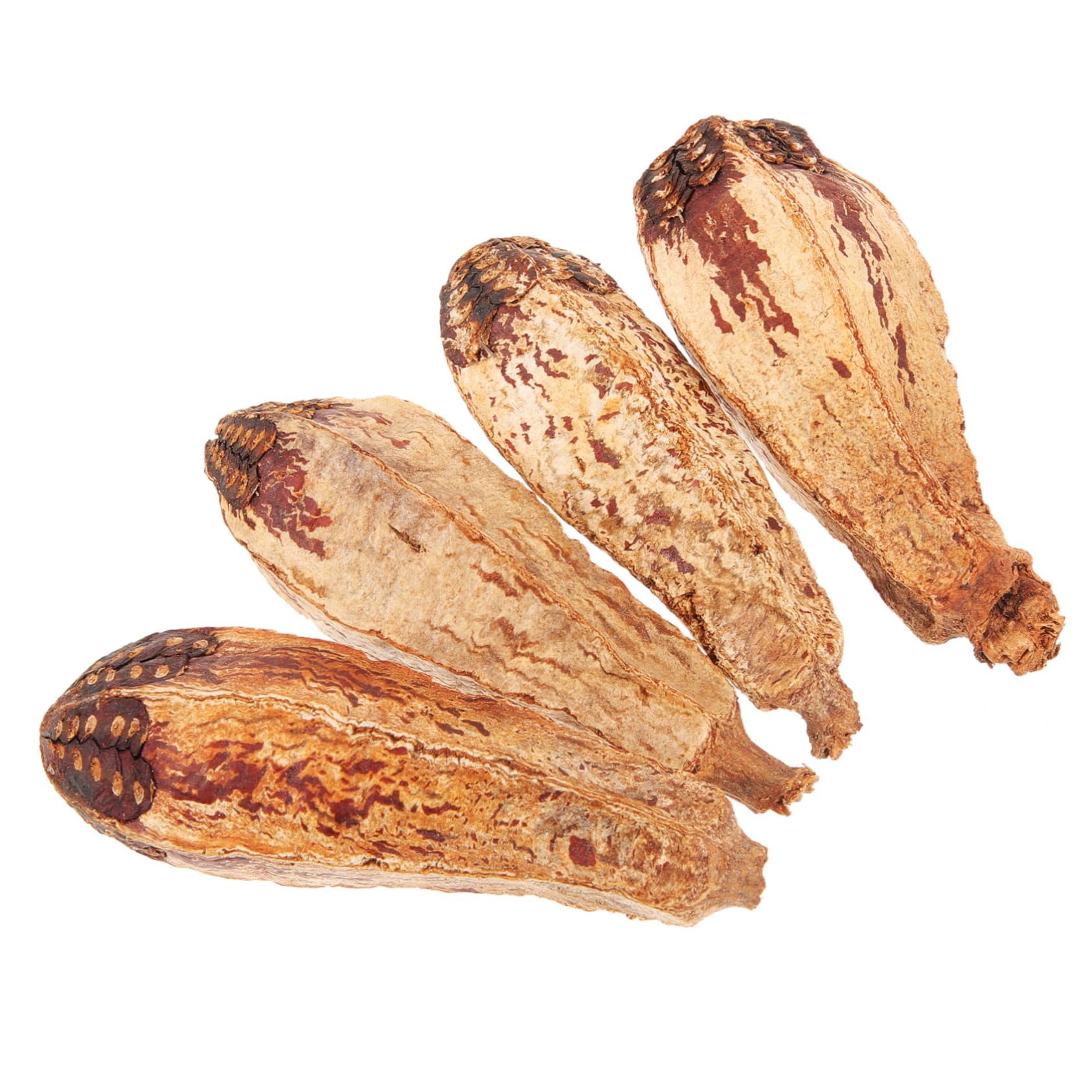 BESPORTBLE 20pezzi Giocattoli Da Masticare Per Uccelli Materiale Naturale Giochi Per Pappagalli e Parrocchetti Accessori Per Foraggiare e Divertirsi