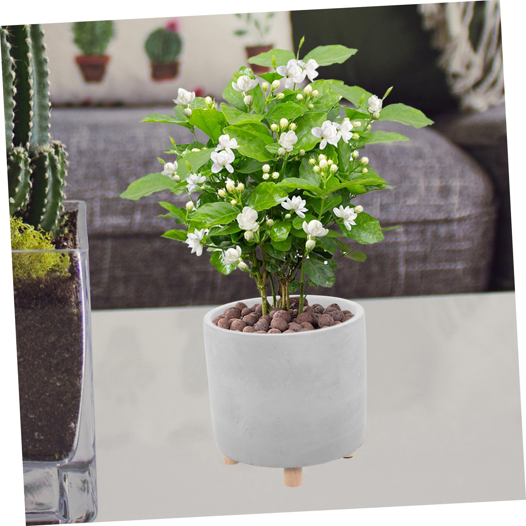 Toyvian Pot de Fleurs Ciment Créatif Jardinière Intérieur pour Plantes Fleurs Maison Bureau Balcon Jardin