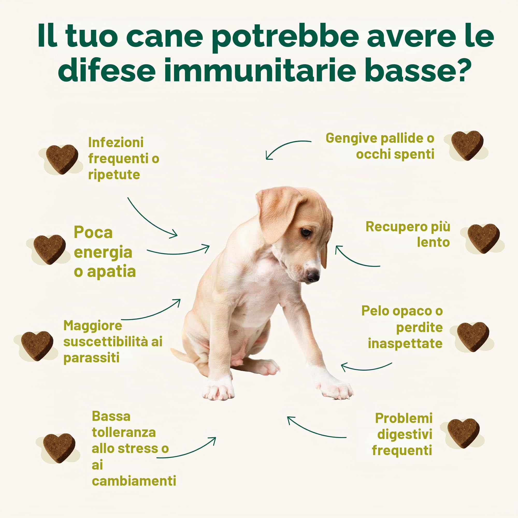 ImmunoKun - Probiotici per supporto digestivo per cani, 60 masticazioni | Premi sani, beta-glucani per rafforzamento immunitario, supporto digestivo e leishmaniasi, senza sostanze chimiche