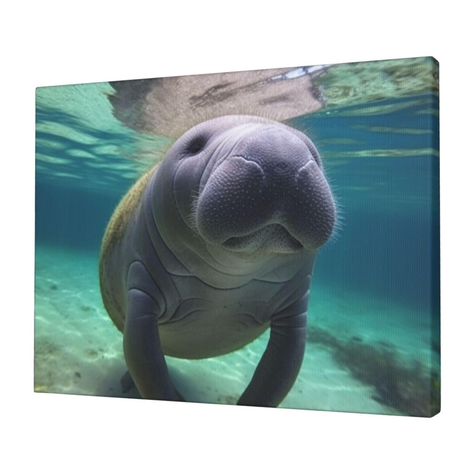 KLOPH Cute Sea Animal Manatee Canvas Wall Art for Living Room 12"x16" Modern Artwork Painting for Bathroom Hanging Canvas Prints Aesthetic Wallart for Bedroom Kitchen Office Wall Decor