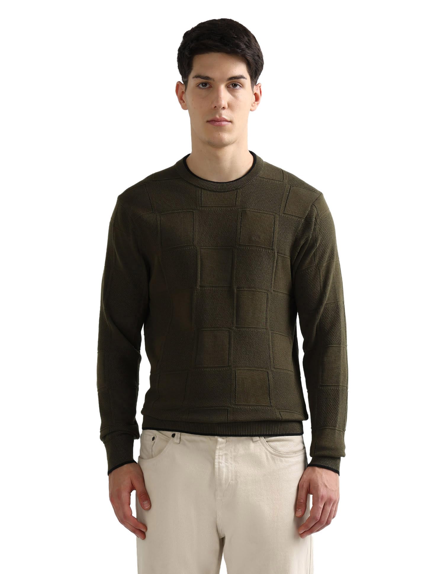 arrow Men's Textured Regular Fit Sweater-picture-50