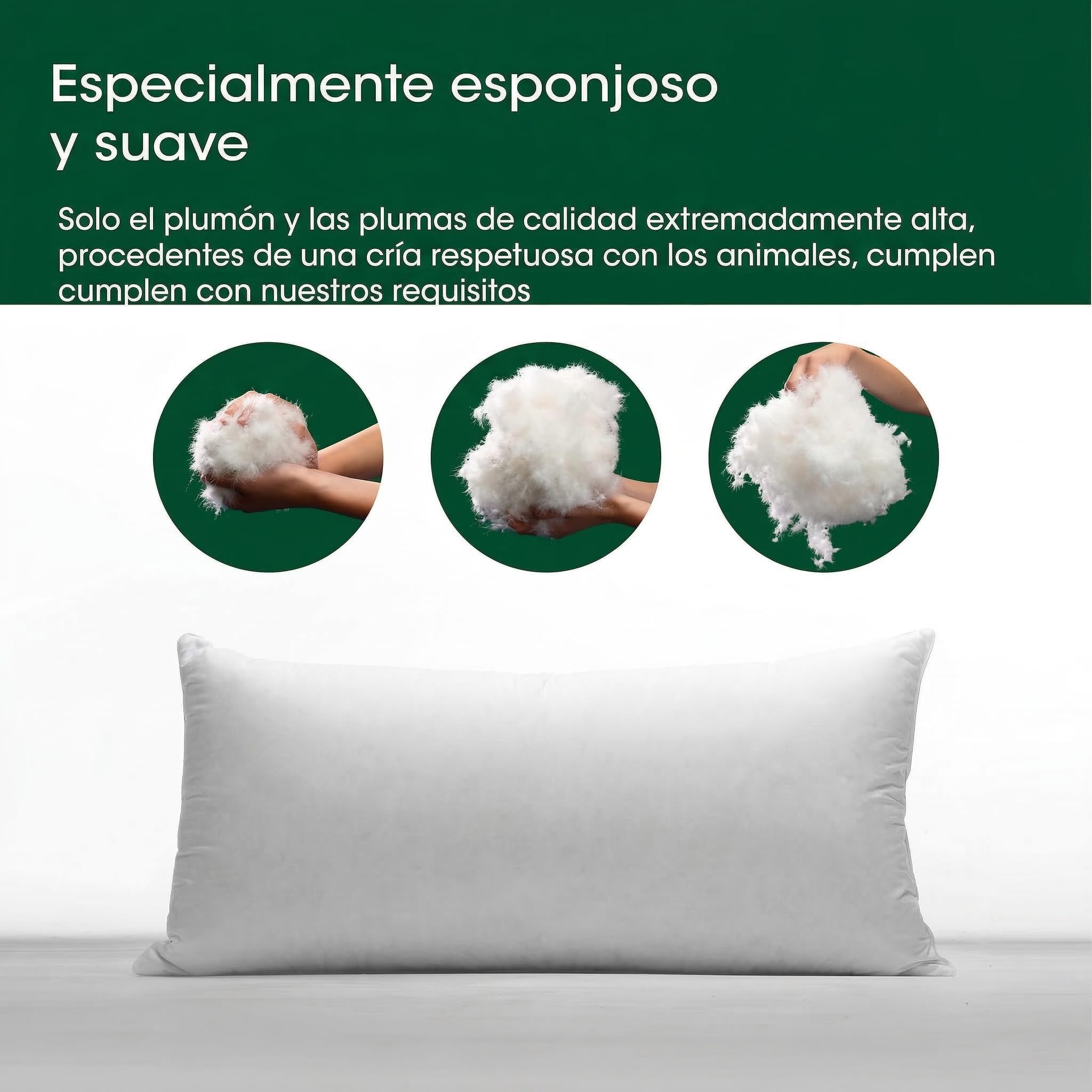 Premium de Luxe Almohada de plumón 50x75 cm - Fabricado en Alemania Almohada de plumas de 100% algodón - Almohada de plumón de 3 cámaras para alérgicos [1er Pack]