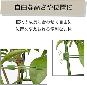 Amazon | Felimoa スライド支柱 観葉植物 ガーデニング 3連リング 園芸 Amazon | Felimoa スライド支柱 観葉植物 ガーデニング 3連リング 園芸