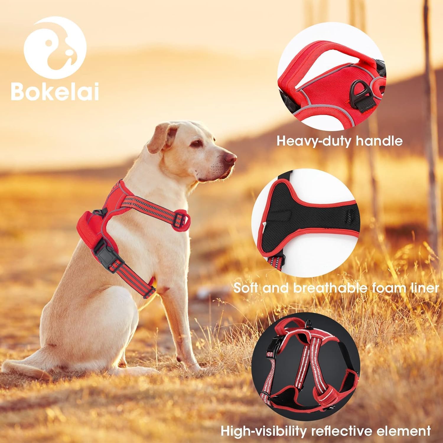 No Pull Dog Harness for Medium Dog with Dog Leash Adjustable Reflective Pet Vest with Front Clip Padded Harness and Lead Set Red M