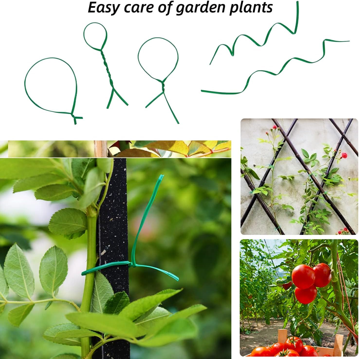 Fascette per Piante da Giardino Filo Verde 100 PCS per Rampicanti Fiori Orto