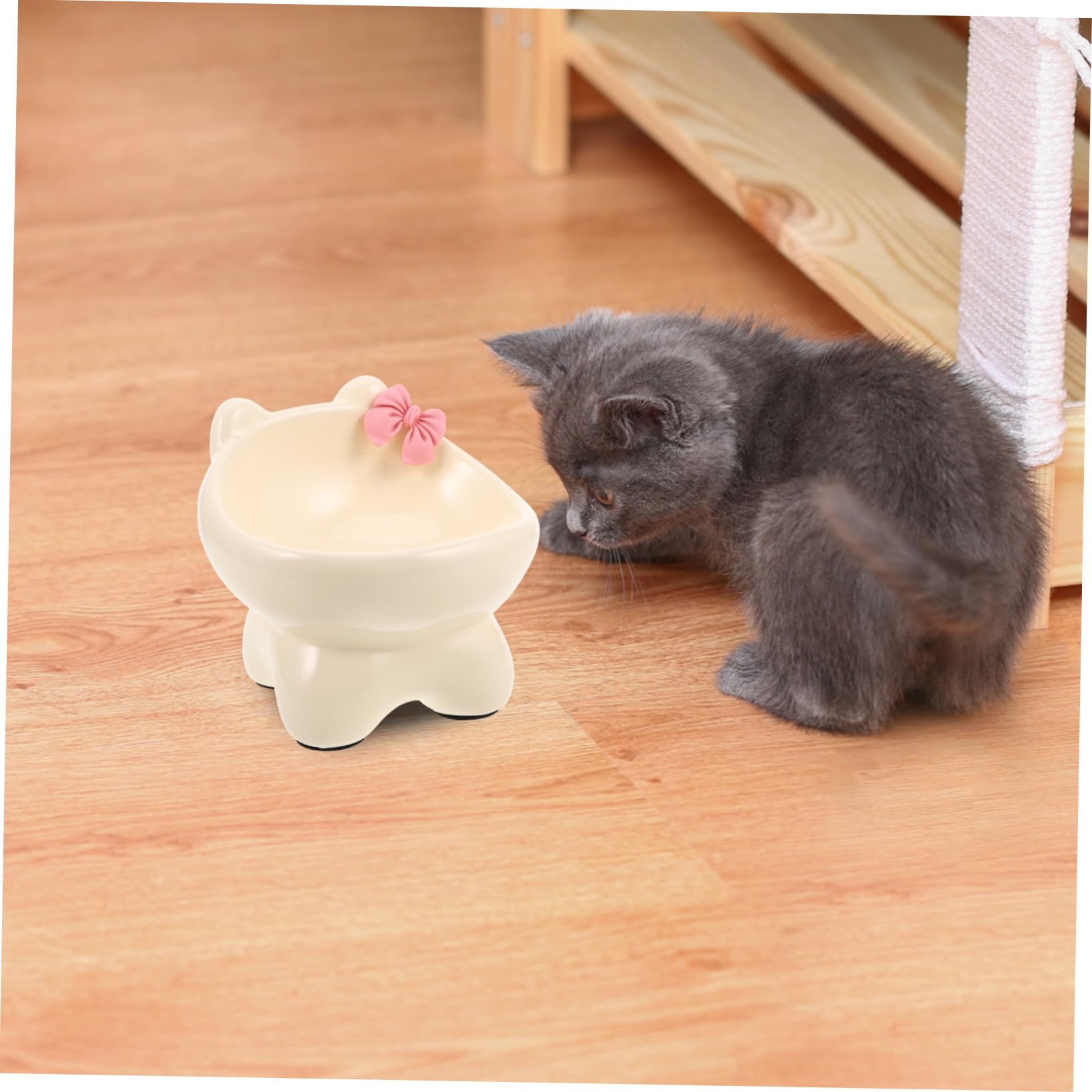 Erhöhter Katzennapf aus Keramik Schräger Futternapf für Katzen und Kleine Hunde Beige Sanft zum Hals Leicht zu Reinigen