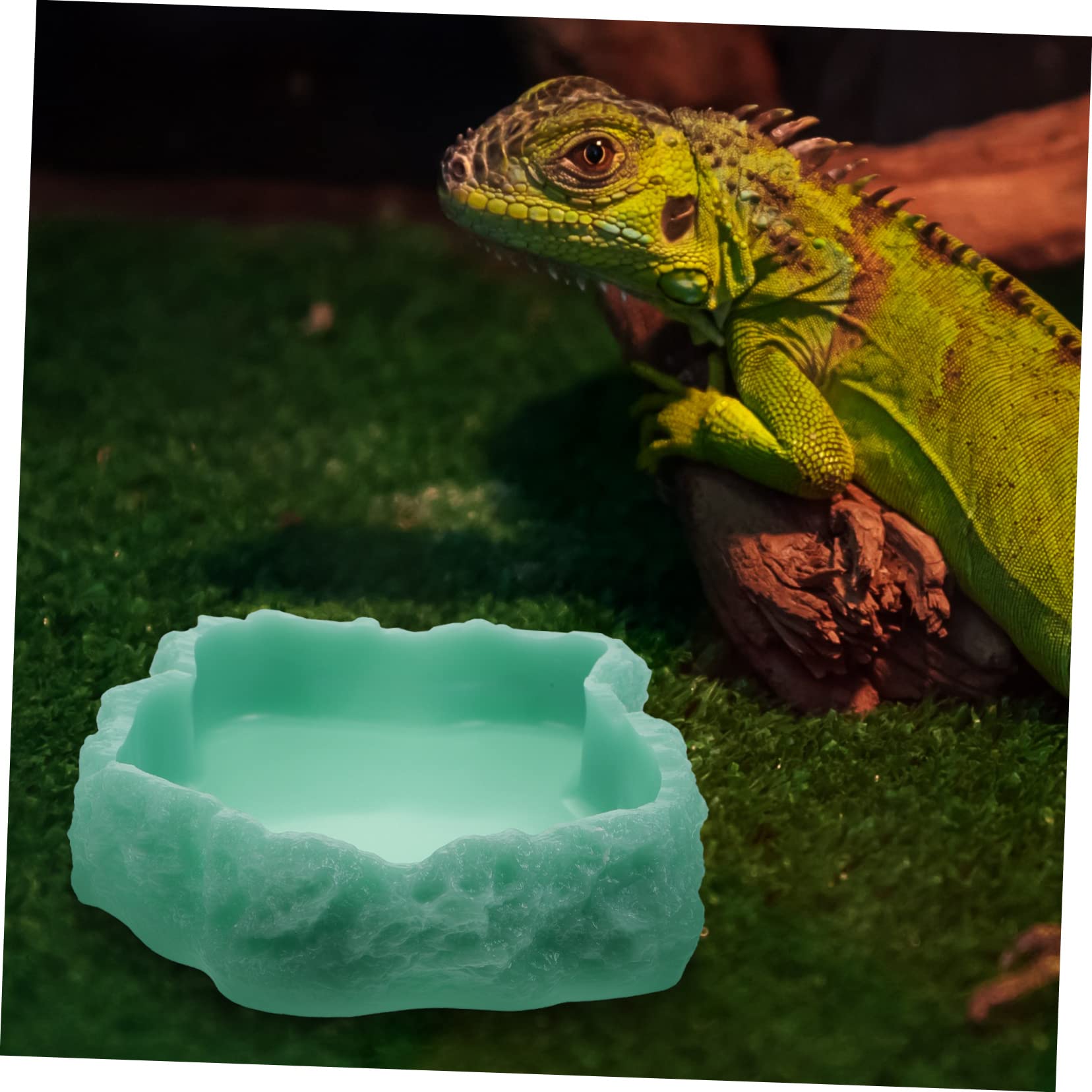 Ciotola Notturna Luminescente per Rettili Alimentatore per Cibo per Terrario per Tartarughe Gechi e Altri Animali Domestici