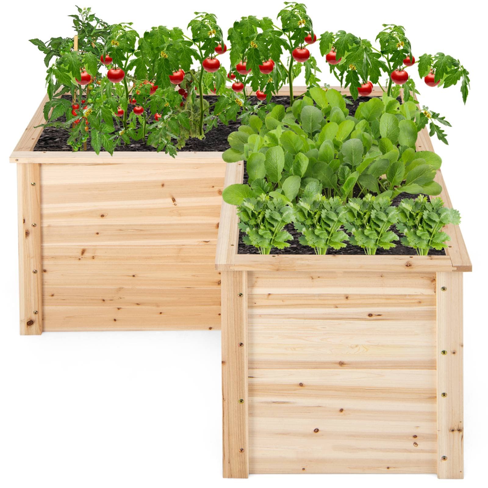 COSTWAY Raised Garden Bed, 62 CM Tall Elevated Planter Box Kit with Open Bottom, L-Shaped Vegetable Fruit Flower Herb Growing Container