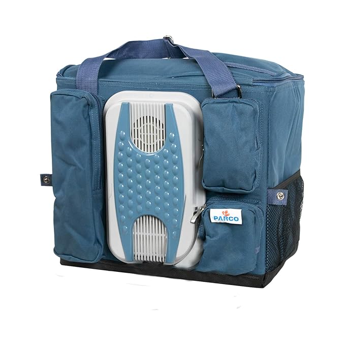 PARCO Thermoelectric 12V Portable Electric Car Cooler Bag for Travel