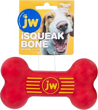 JW Pet Dog iSqueak Bone Dog Toy, Large, Assorted Colors