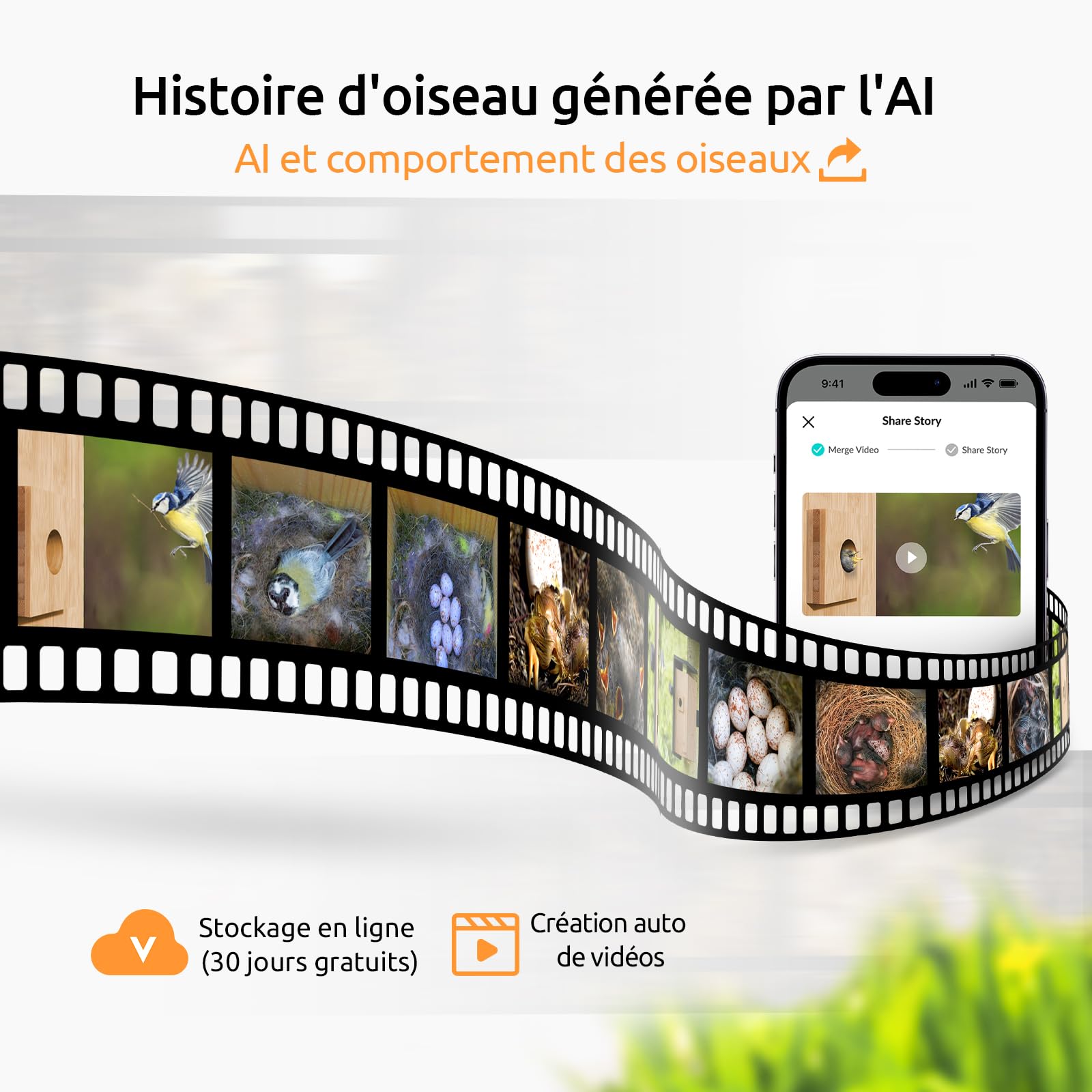 Netvue by Birdfy Nichoir Oiseaux avec Deux Camera Intelligente, Cabane pour Éclore Oiseaux Jardin Terrasse Maison Caméras Connectées IA Identifie Comportement Oiseaux & Crée Histoire Nid Oiseau