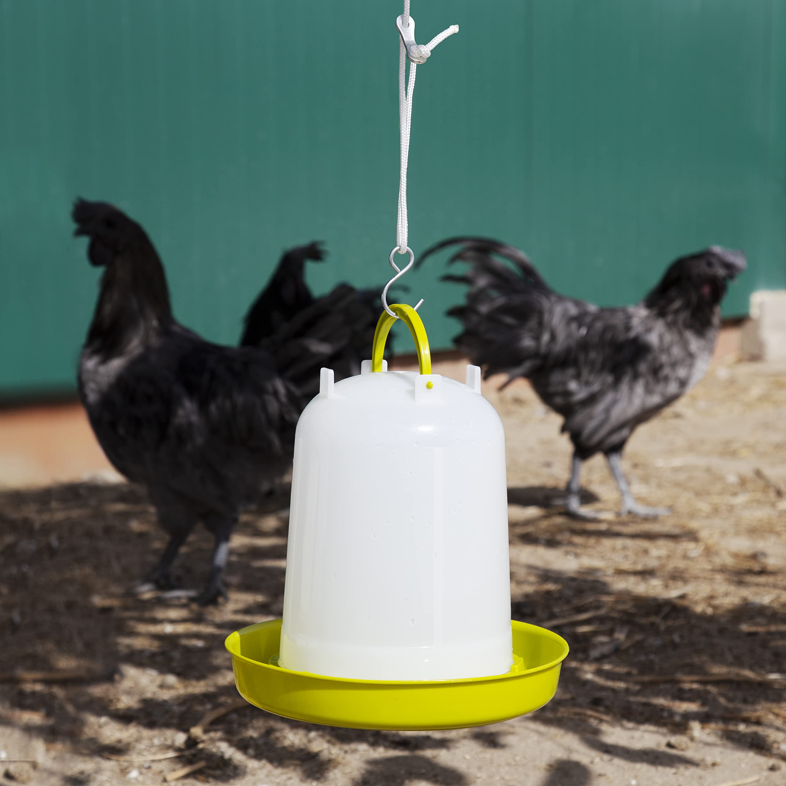 Bebedero Gallinas - Bebedero Aves de Corral Bío de 3 L - Bebedero Eco Fabricado en plástico de Origen Vegetal - Ideal para gallineros sostenibles