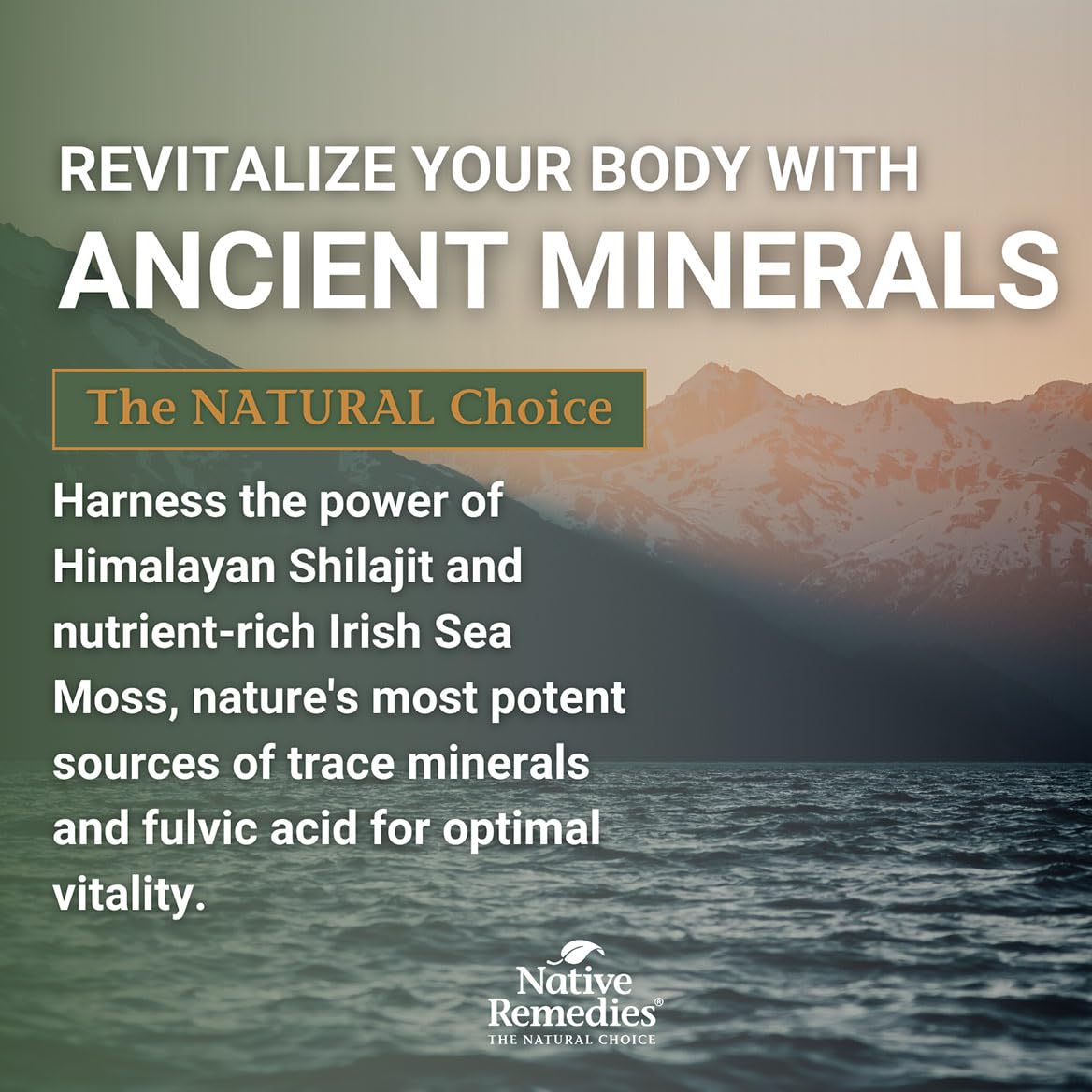 Native Remedies Sea Moss & Shilajit Complex - Natural Energy & Immune — Amazon image 6