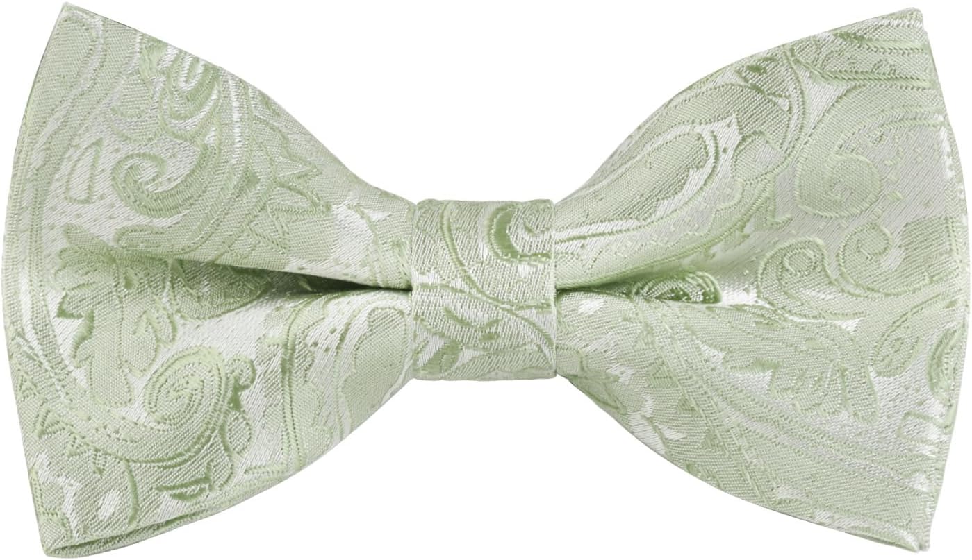 Alizeal Boys Adjustable Fashion Paisley Floral Strapped Pre-tied Kids Bow Tie