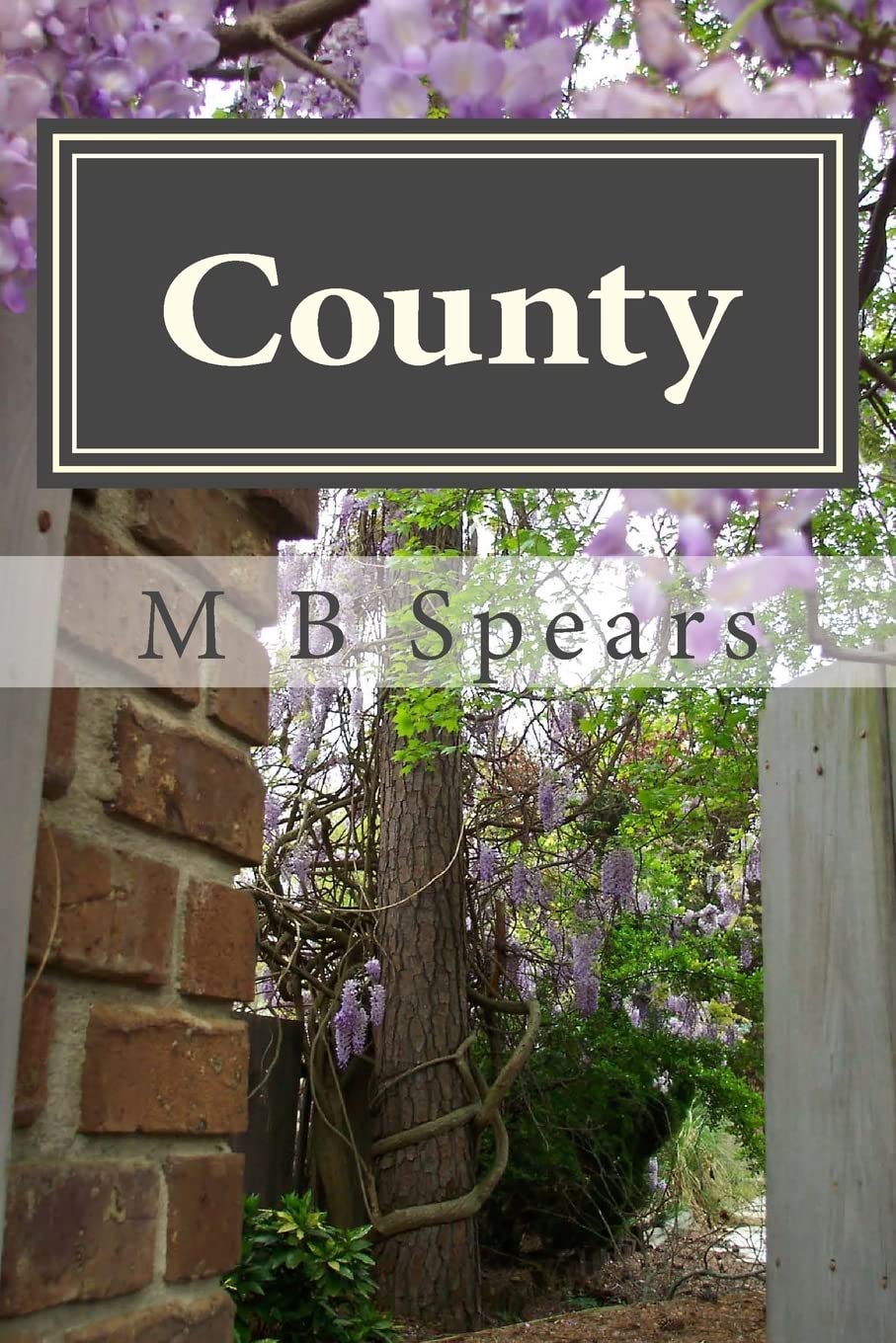 County: Memory Is My Name