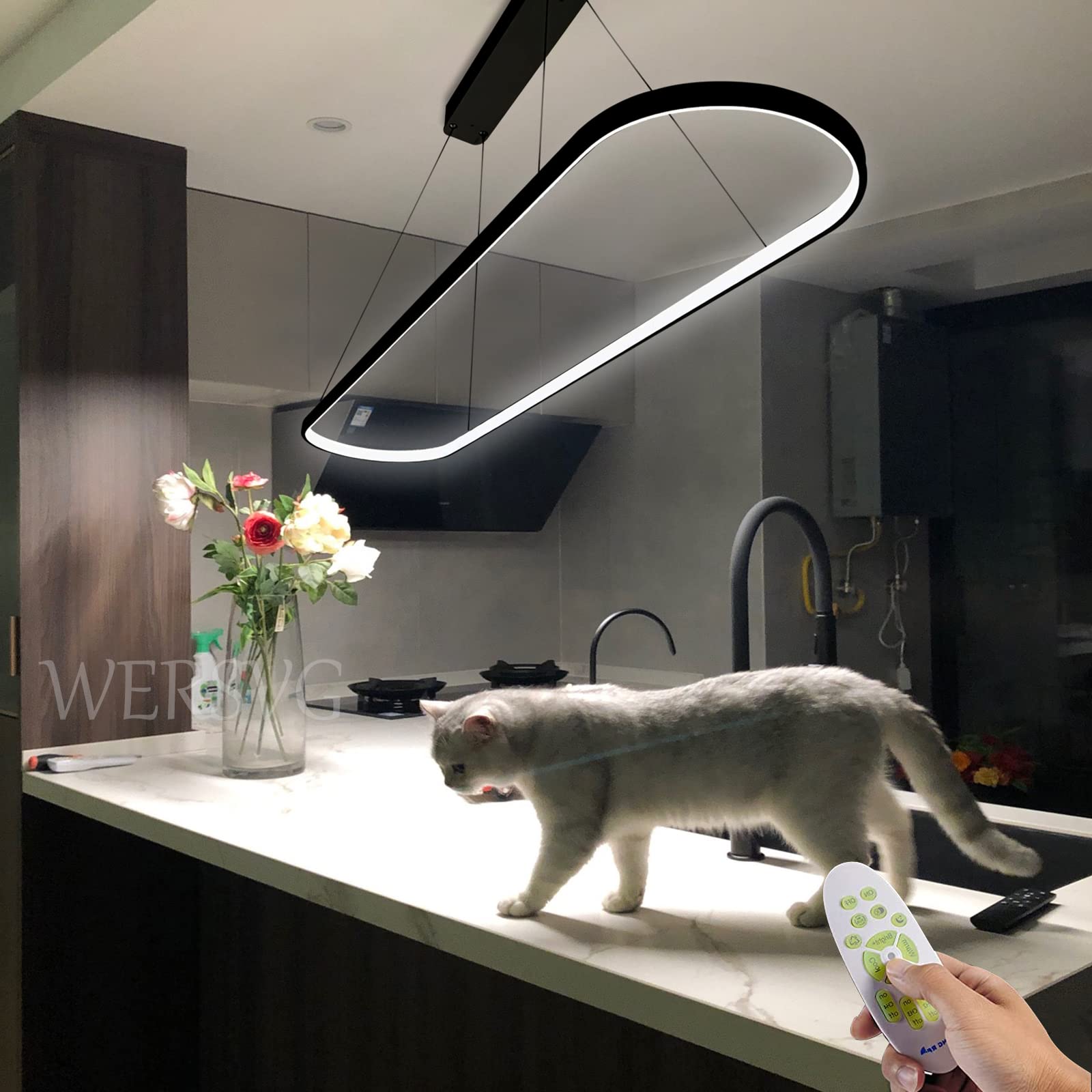 LED Pendant Lamp Oval Dining Table Office Lamps Hanging Lamp Dimmable Modern Minimalist Ring Design Chandelier 40W Adjustable Height for Dining Room Kitchen Lamp Office Chandelier (black, L90cm)
