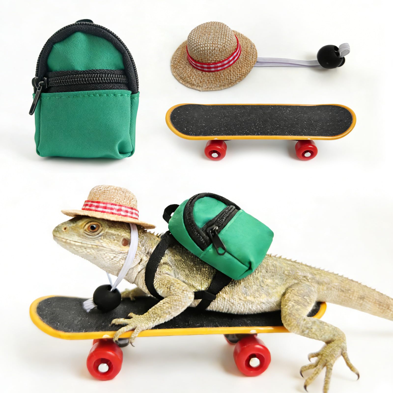 CQJ 3 Pack bearded dragon toy set includes a bearded dragon backpack, an adjustable hat, and a mini skateboard toy, for small reptile pets such as lizards, hamsters, parrots, and turtles.（Green）