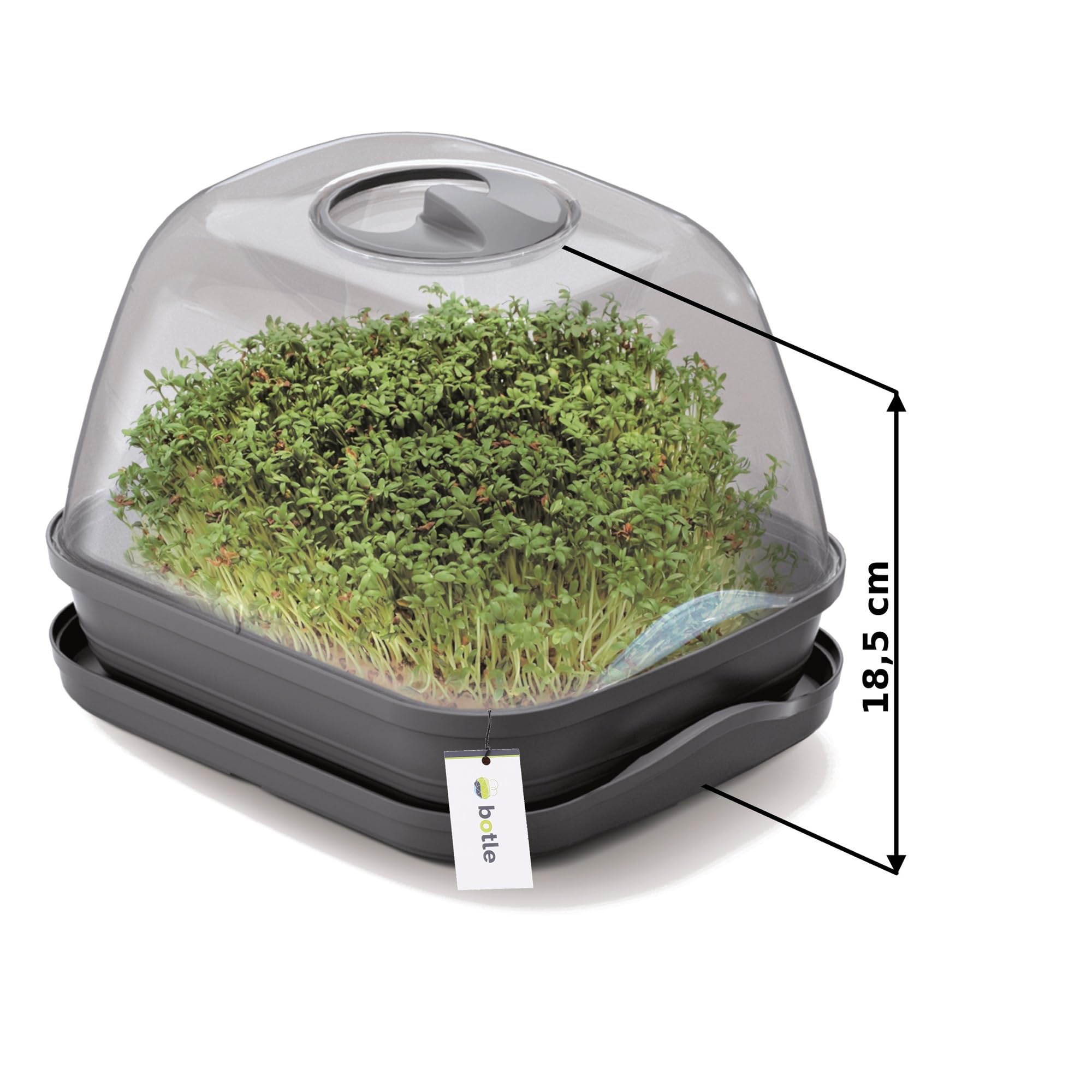 Lot de 3 mini serres de culture - Anthracite - 25,7 x 18,5 cm - Jardinières avec couvercle - Jardinière surélevée - Pour la croissance des légumes, des semis et des semis