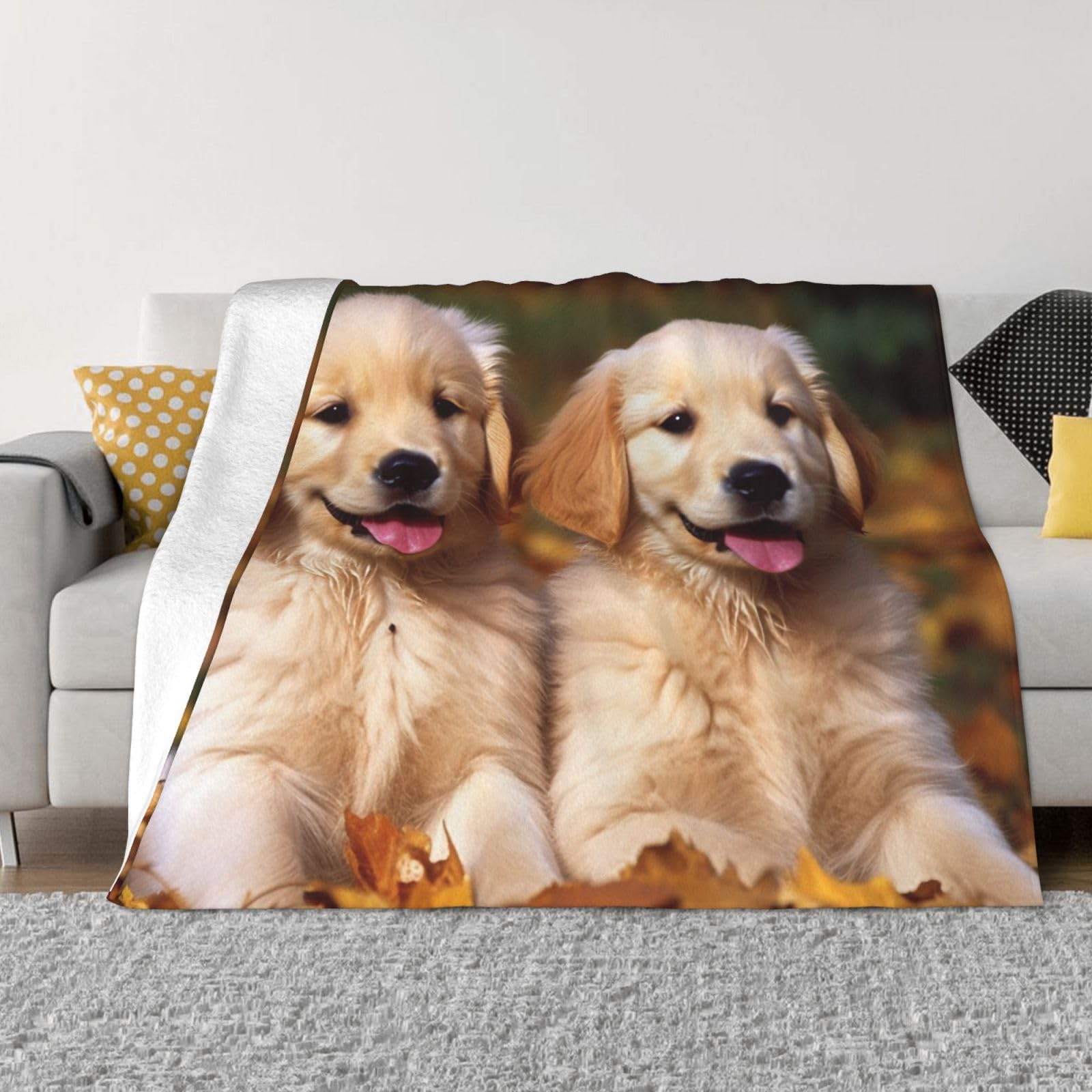 Fodpand Black Golden Retriever Dogs Puppies Pets Flannel Blanket 40"X30" - Ultra-Soft Lightweight Throw Blanket For Bed, Sofa, And Couch - Luxury Air Conditioning Blankets - Cozy Warm Blankets For All Seasons