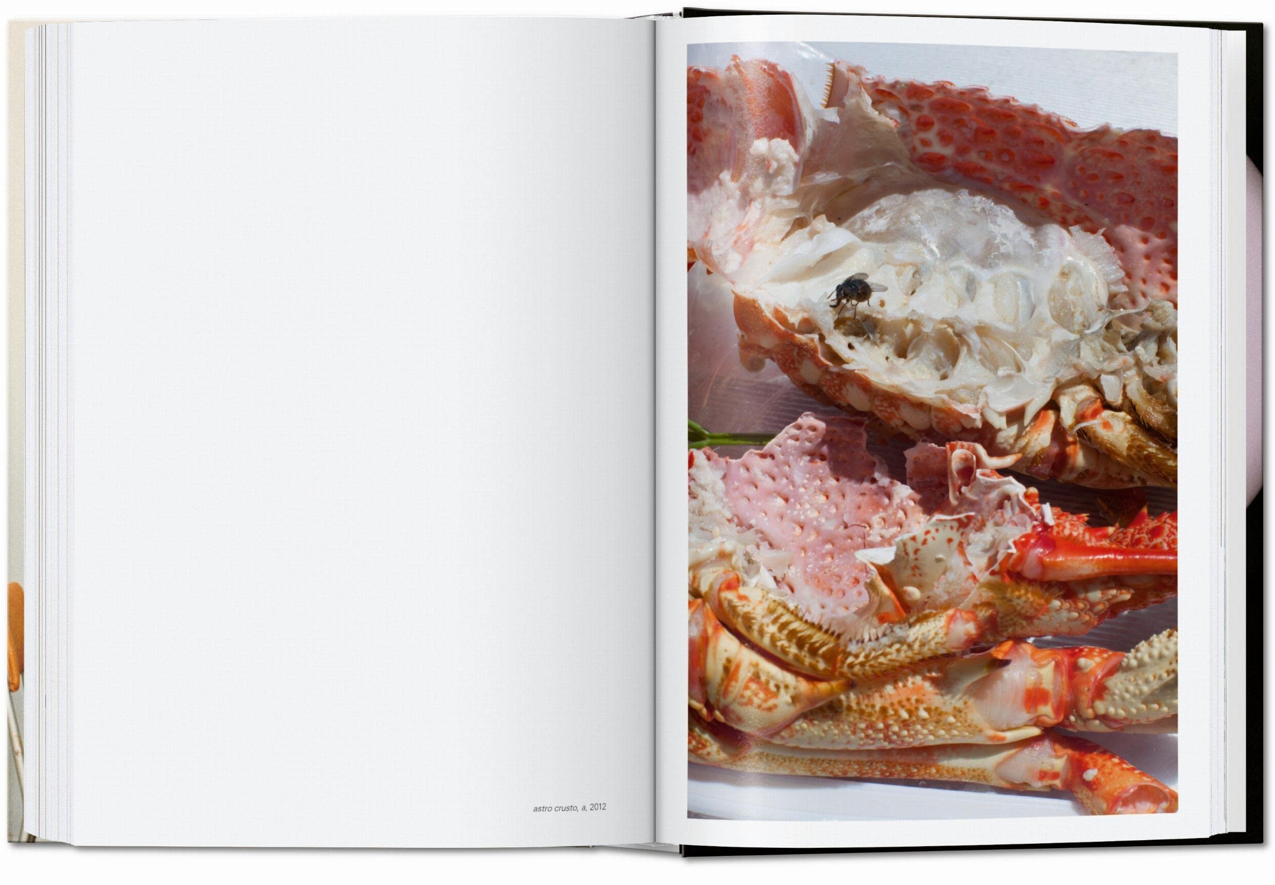 Wolfgang Tillmans. Four Books – 40Th Anniversary Edition: four books. 45th Ed. (45th Edition)