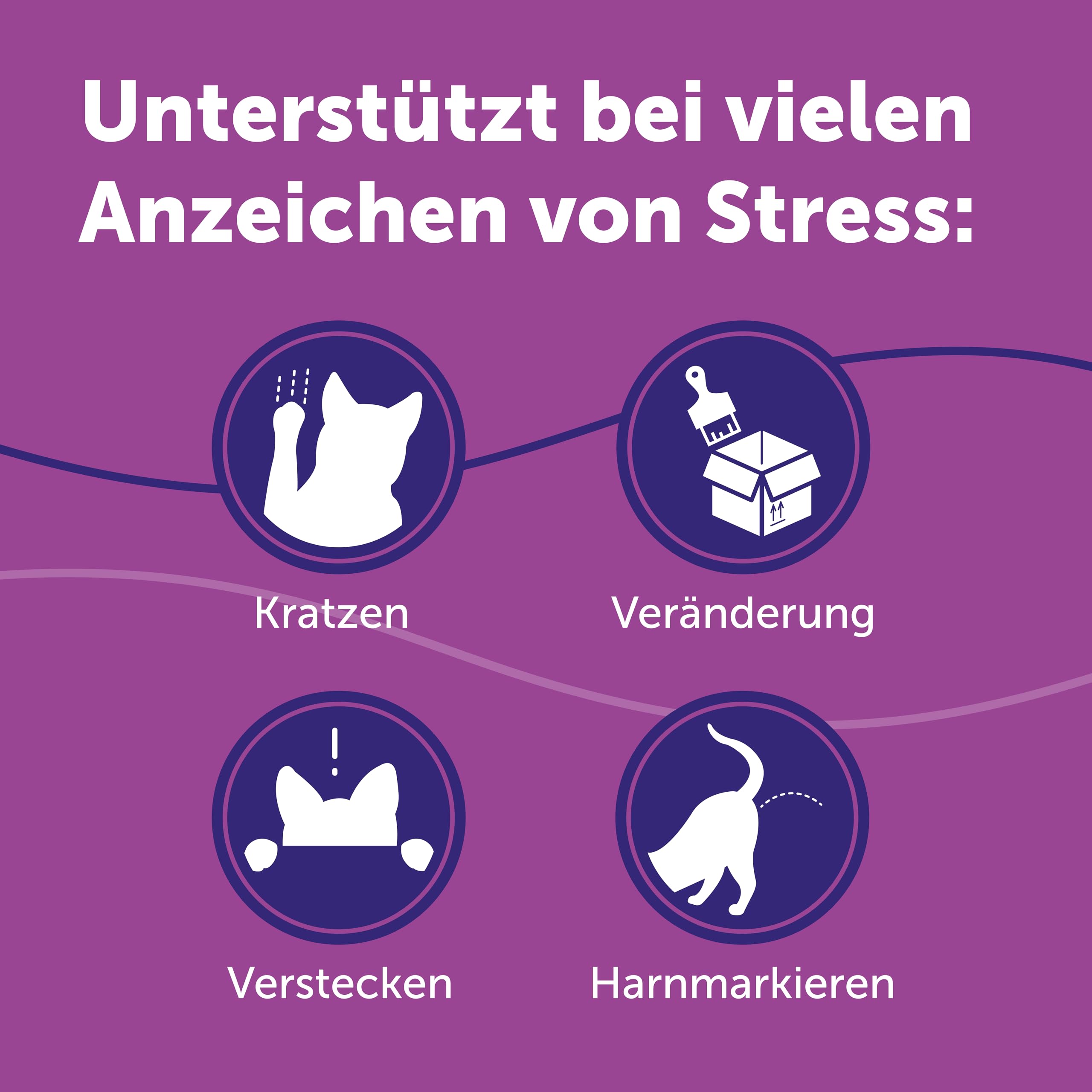 FELIWAY Classic 3x30 Tage Vorteilspack für Pheromon Verdampfer, 3x48ml - Hilft Anzeichen von Stress bei Katzen und Kitten zu reduzieren, von Tierärzten empfohlen, klinisch getestet