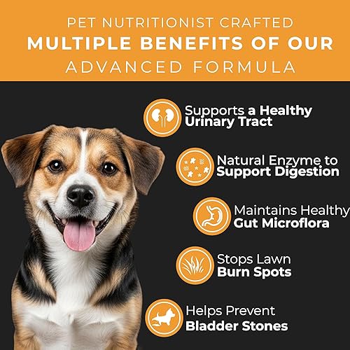 Miniatura 5 de Pet Chef Lawn Saver Plus! Bloquea el daño de orina para plantas y patios, sin quemaduras de orina de perro. Evita puntos muertos en los patios -