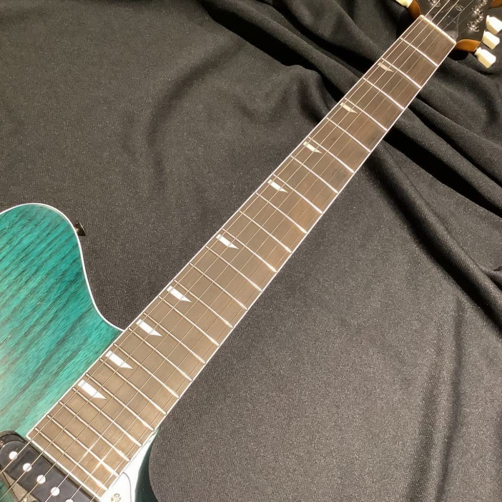 Amazon | RYOGA SKATER/LEC-v2 Deep Forest エレキギター コイルタップ