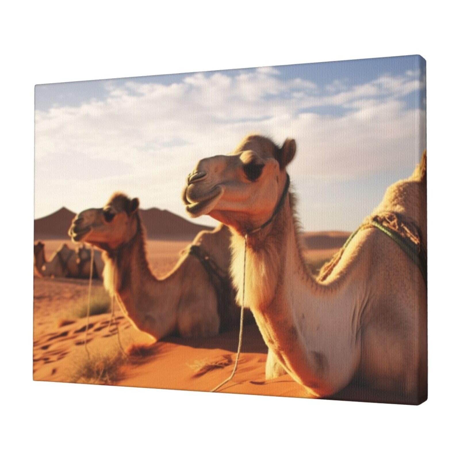 KLOPH Camels Rest Desert Canvas Wall Art for Living Room 12"x16" Modern Artwork Painting for Bathroom Hanging Canvas Prints Aesthetic Wallart for Bedroom Kitchen Office Wall Decor