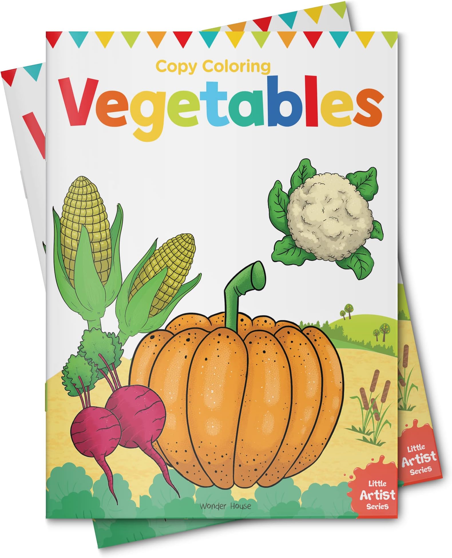 Little Artist Series Vegetables : Copy Colour Books