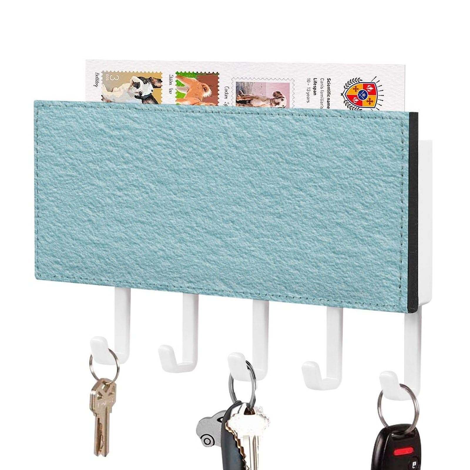 Jubonexis Plain Pastel Blue Card Texture Wall Mount with 5 Hooks Acrylic Key Rack for Home Office Entryway