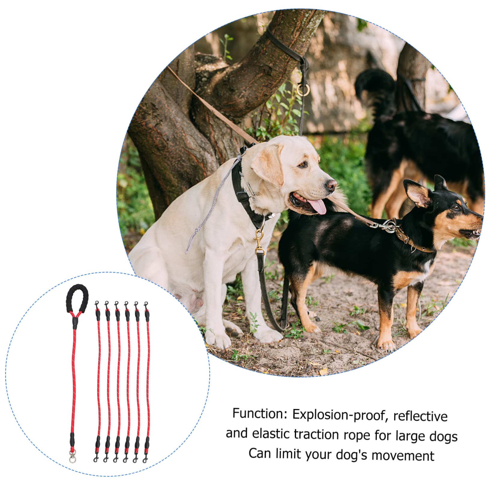 Correa De Perro Multicabezal Cuerda Resistente para Entrenamiento y Paseo De Mascotas Diseño Ergonómico Antideslizante para Senderismo y Actividades Al Aire