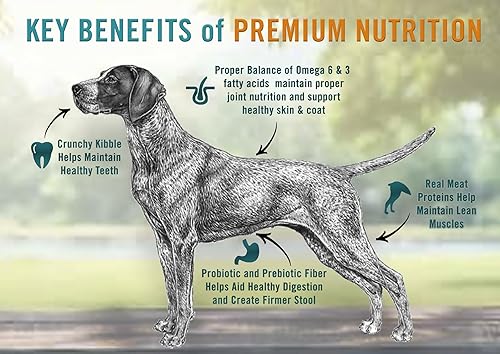 Miniatura 3 de Chicken Soup For The Soul Pet Food - Alimento seco clásico para perros adultos, receta de pollo, pavo y arroz integral, bolsa de 13.5 libras, sin