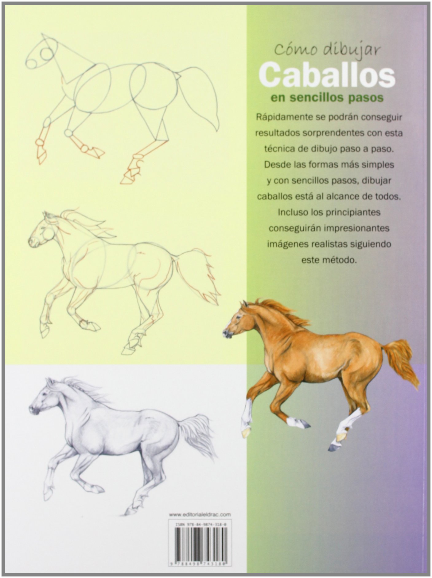 Cómo Dibujar Caballos En Sencillos Pasos