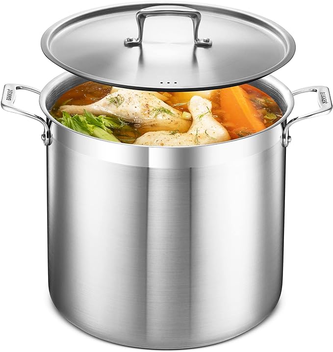 Bakken Swiss 20-quart stainless steel stockpot with stainless lid on stove