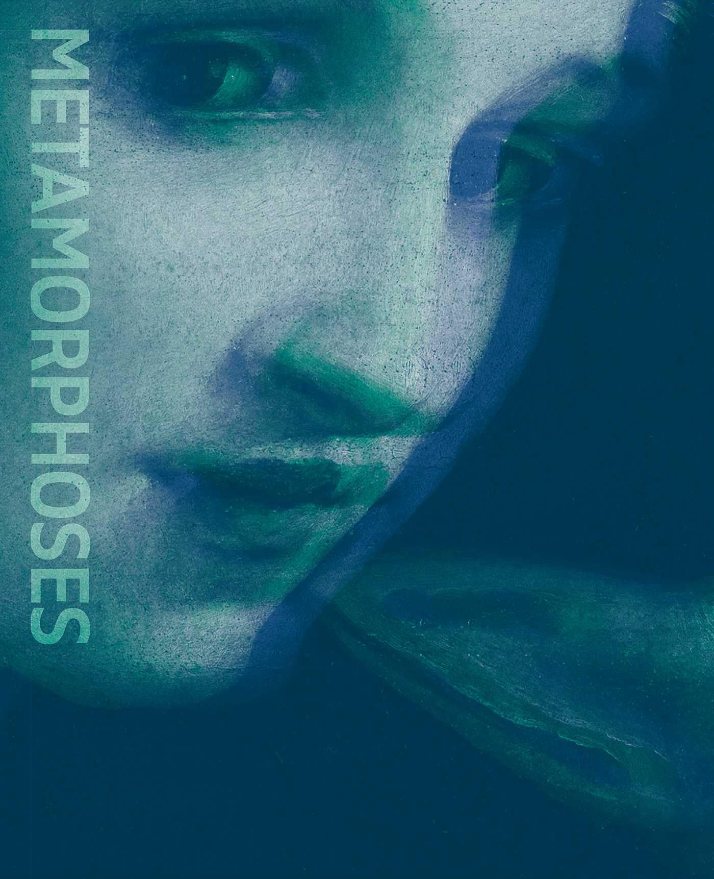 Metamorphoses : Ovid s Art /anglais