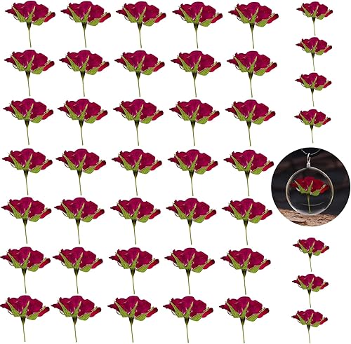 Flores de rosas secas con tallo para resina, 42 rosas naturales prensadas reales, flores secas para resina, bricolaje, joyería, adorno,