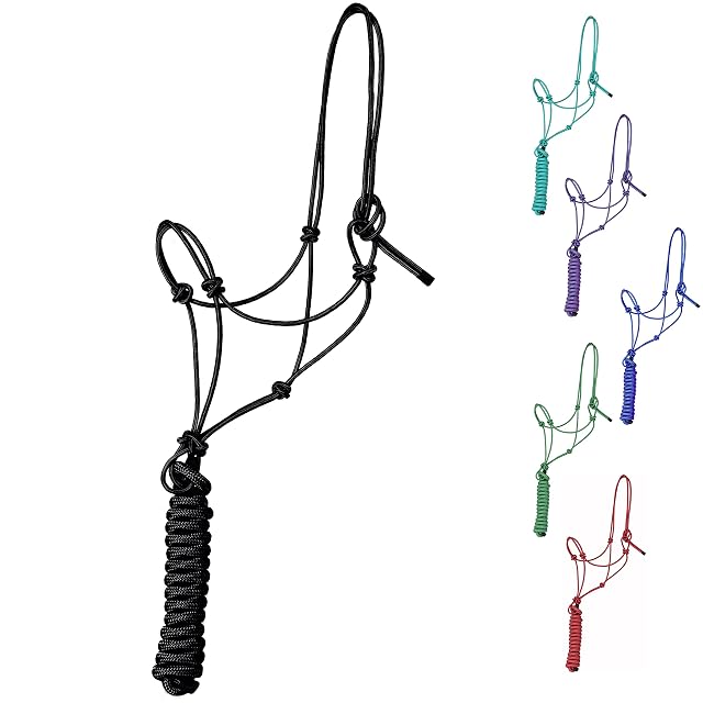 Majestic Ally Cabestro de Entrenamiento de poliéster rígido con 4 Nudos de Cuerda de 1/4 Pulgadas con Cuerda…