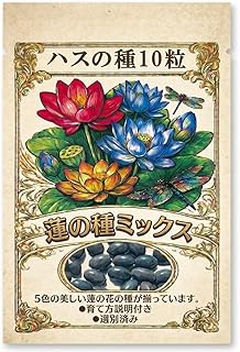 茶碗ハス 種 10粒 ミックス｜ミニ蓮 小型蓮 フラワーロータス 水草の種｜ハスの種 蓮の種 水生植物 栽培セット｜水に入れるだけ 簡単栽培｜ビオトープ 睡蓮鉢 金魚鉢 メダカ ベランダOK｜初心者向け 発芽用 選別済み 育て方マニュアル付き [並行輸入品]