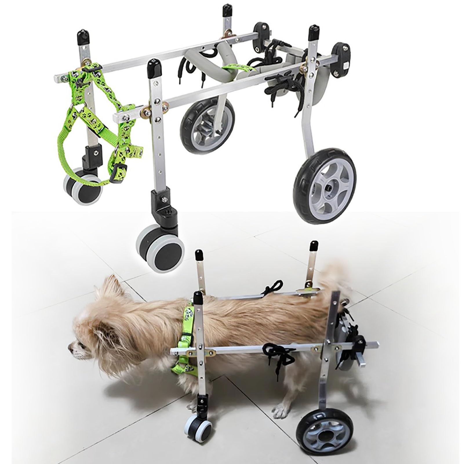 Fauteuil roulant réglable pour chien de taille moyenne, aide à la mobilité arthritique