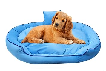 PILA Brasileiro Ultra Comfort Pet Bed for Dogs/Puppies