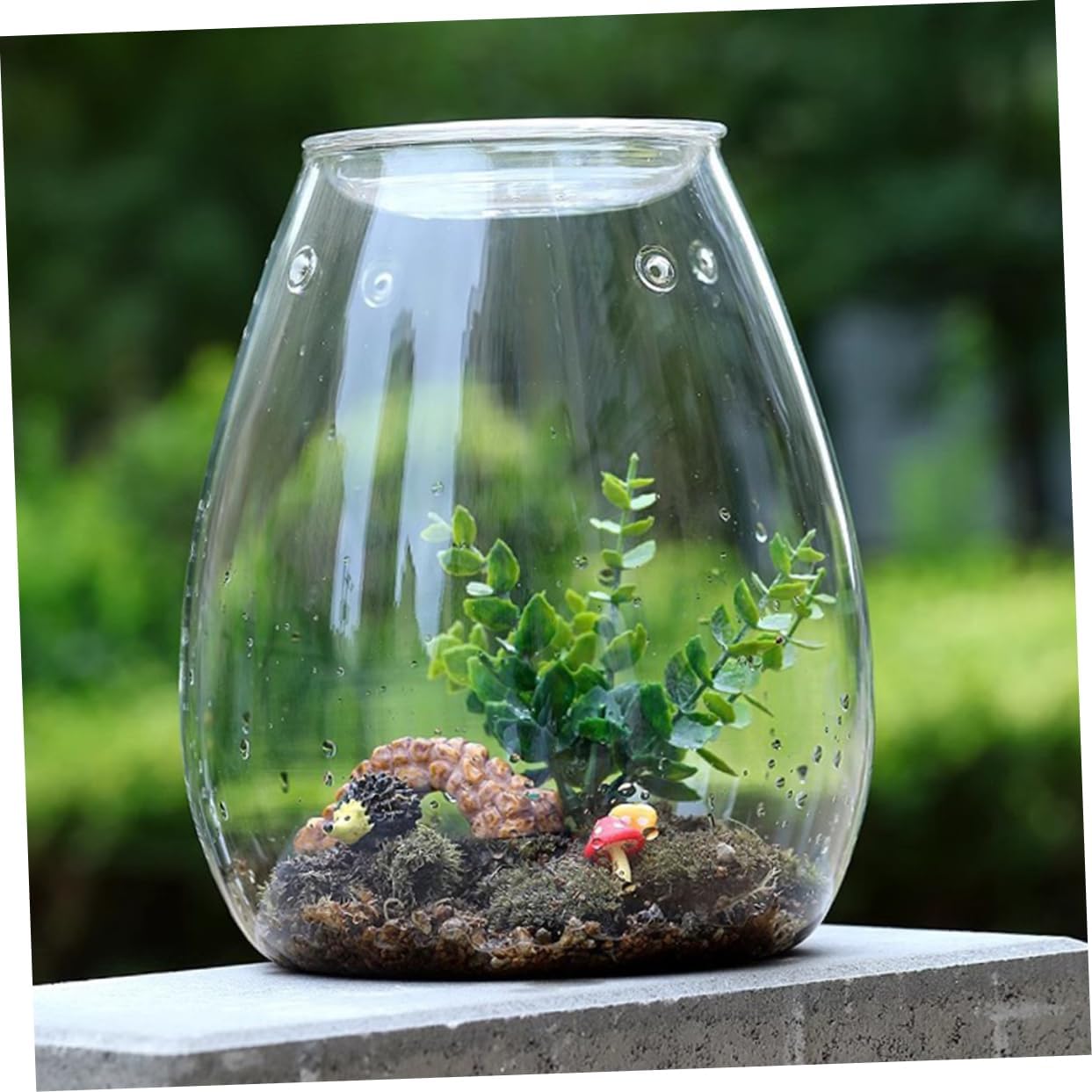 Glass Terrarium Empty Terrarium Micro Landscape Bottle Moss Bottle DIY Plants Container