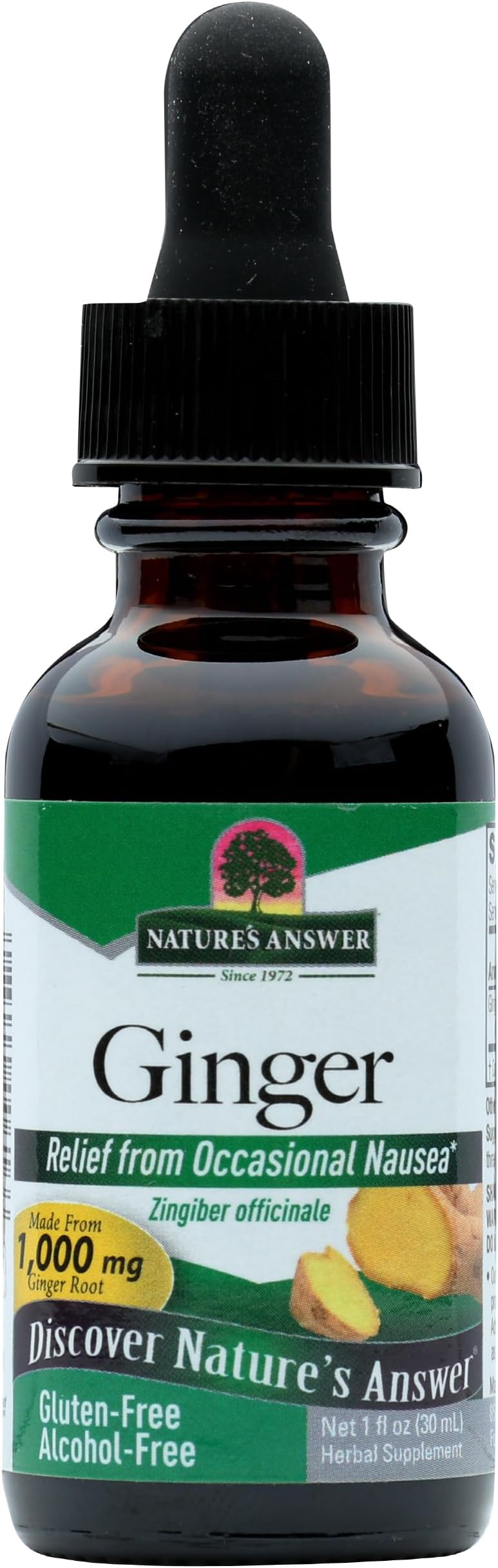 Nature's Answer Alcohol-Free Ginger Root, 1-Fluid Ounce | Inflammatory Support | Supports Digestion