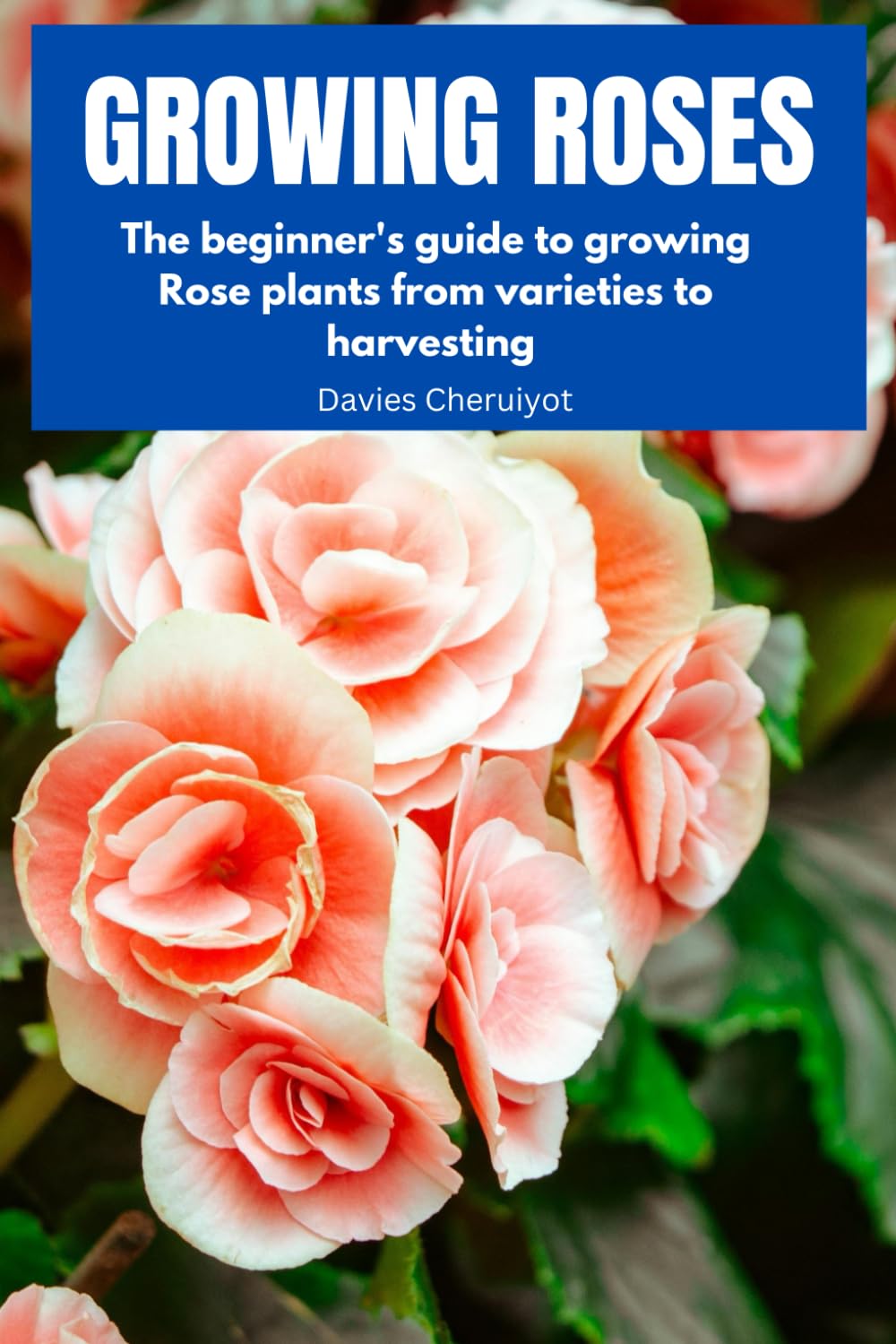GROWING ROSES: The beginner's guide to growing Rose plants from varieties to harvesting: 1 (Flowers)