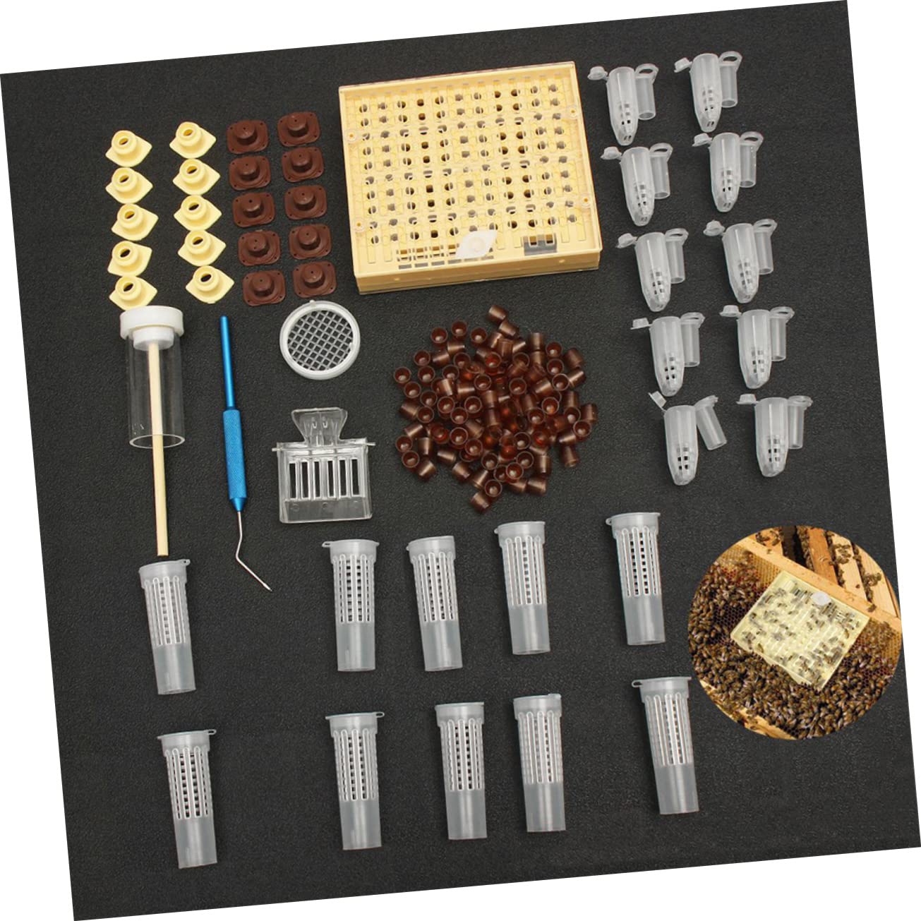 Hemobllo Kit De Herramientas De Apicultura Herramienta Para Abejas Reinas Caja De Alimentación Ligera y Resistente