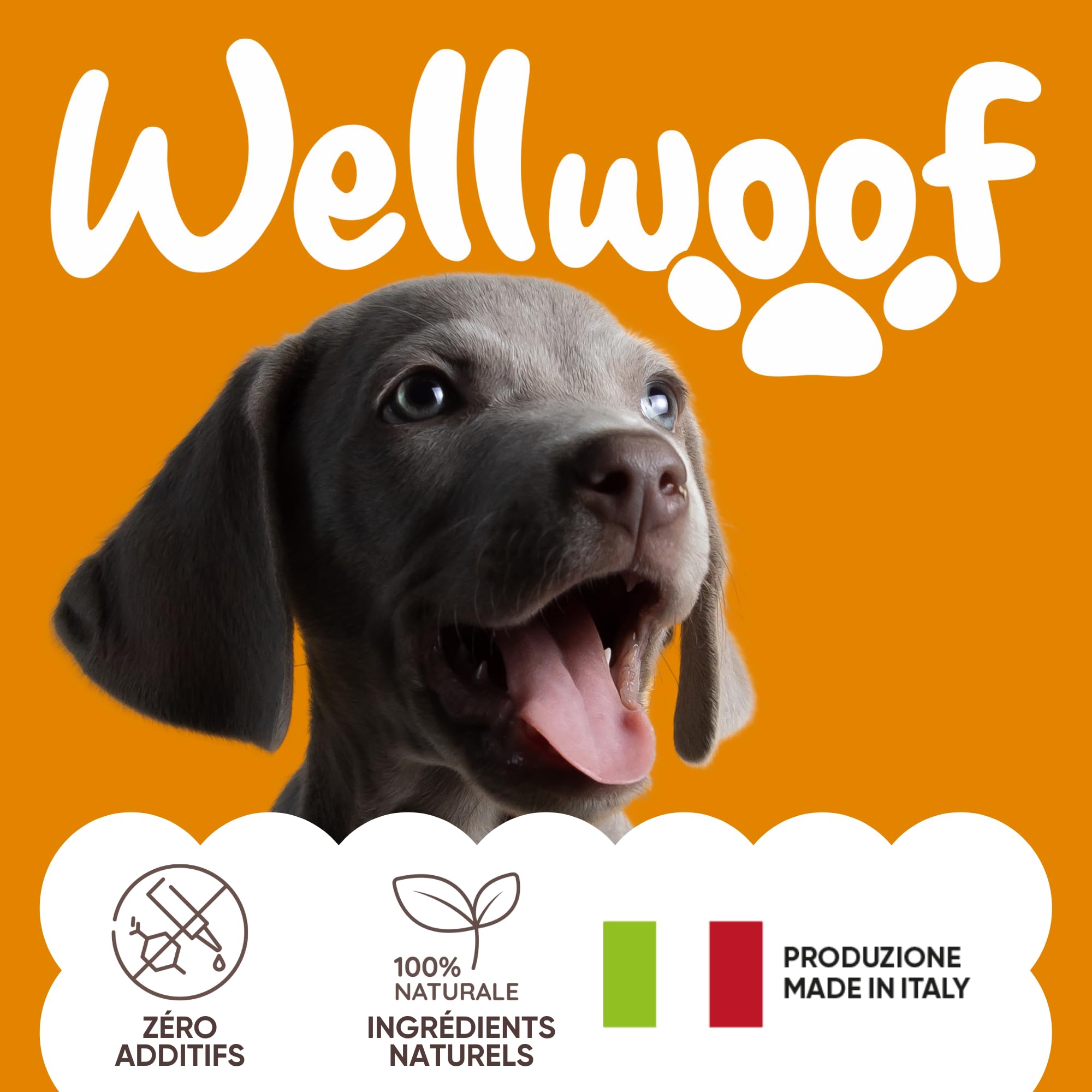 Complément Multivitaminé Complet 11 en 1 | Poudre pour Chiens (250g) | 20 Vitamines et Minéraux & Moringa Bio | sans Appétents Animaux | Idéal pour Régime Maison | Fabriqué en Italie - WELLFOOF