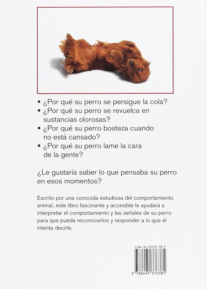 por que mi perro se persigue la cola