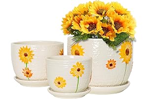 Ton Sin Fall Planters